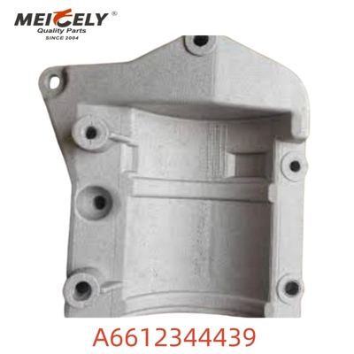 Montaggio del motore di alta qualità OEM A6612344439 per Mercedes Benz