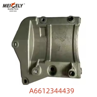 Montaggio del motore di alta qualità OEM A6612344439 per Mercedes Benz