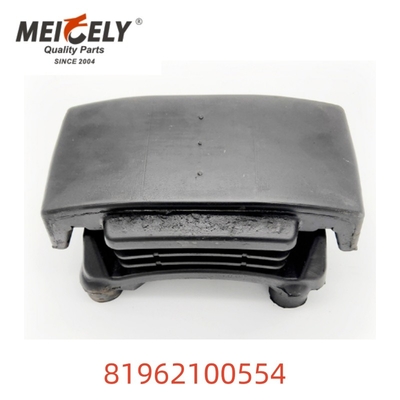 OEM 81962100554 Ricambi per autoveicoli a molla di alta qualità