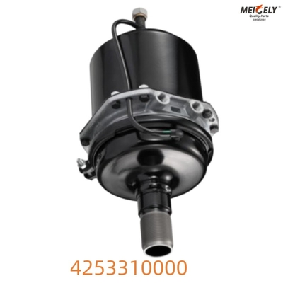 Daf Spring Brake 4253310000 Soluzione di arresto di alta qualità