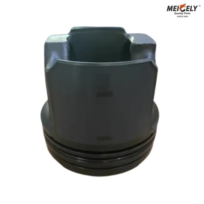 202V02511-0713 Numero OE Piston di alta qualità e resistente per la produzione di