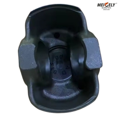 202V02511-0713 Numero OE Piston di alta qualità e resistente per la produzione di