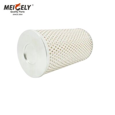 85136715 FS1029 Filtro Carburante per Mack – Montaggio Diretto, Protezione Affidabile del Motore