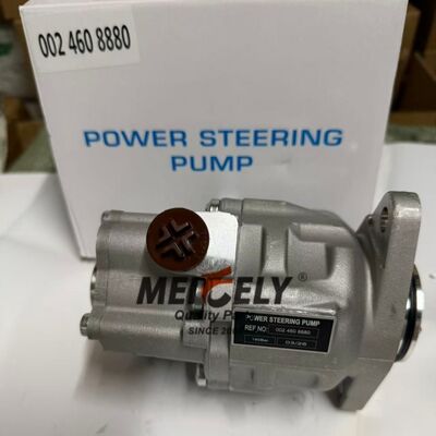OEM Standard 0024608880 Assemblaggio pompa di sterzo azionato per camion pesanti Benz Actros