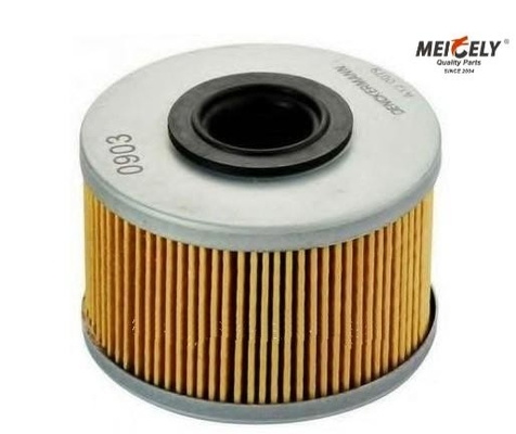 Carta da filtro universale del ferro del filtro del carburante da 9110894 Use for rvi