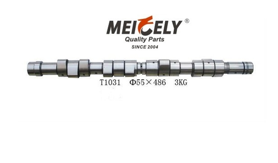 Albero a camme 55×486mm 3KGS del motore di Use for rvi Truck Parts T1031 del ghisa