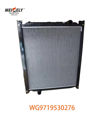 WG9719530276 Assemblaggio radiatore originale WG9725530270 Adatto per camion HOWO
