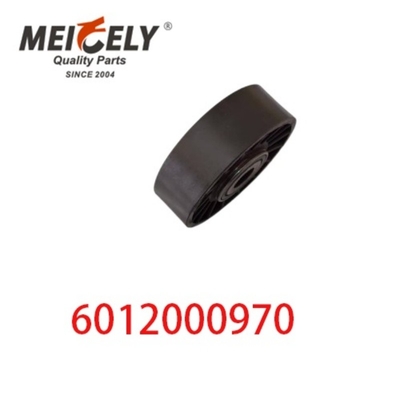 6012000970 9146139 Ricambi per motori per autoveicoli