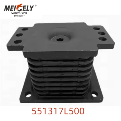 551317L000 551317M500 Camion pesante