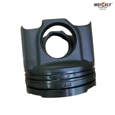 202V02511-0713 Numero OE Piston di alta qualità e resistente per la produzione di